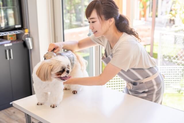 トリミング
